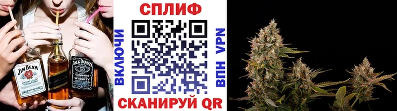 Конопля Монино